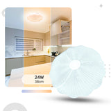 Plafon de Teto led multicor 38cm c/forma de flor 24w