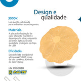 Plafon Led de Teto 26cm c/forma de Flor 18w